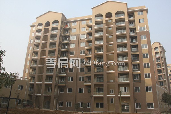 上善·融園天地1月進度 高層主體工程已完工