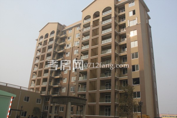 上善·融園天地1月進度 高層主體工程已完工