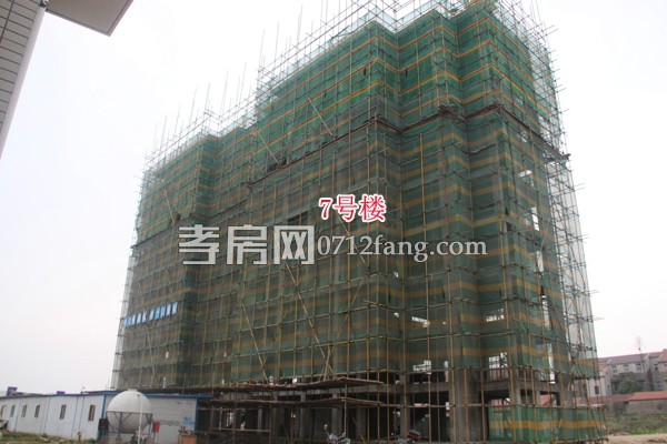 7號樓