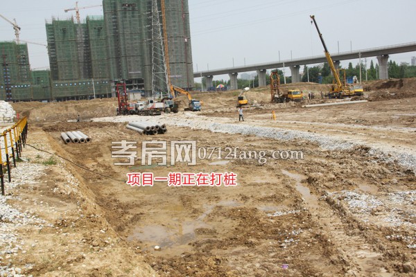 項目一期正在打樁