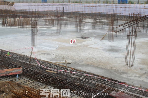 協(xié)豐·溫哥華5月項目進度