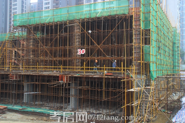 協(xié)豐·溫哥華5月項目進度