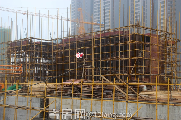 協(xié)豐·溫哥華5月項目進度