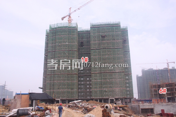 楚霖·鼎觀世界