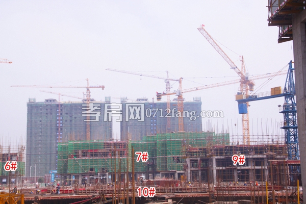 楚霖·鼎觀世界