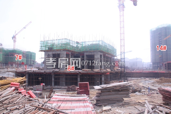 楚霖·鼎觀世界