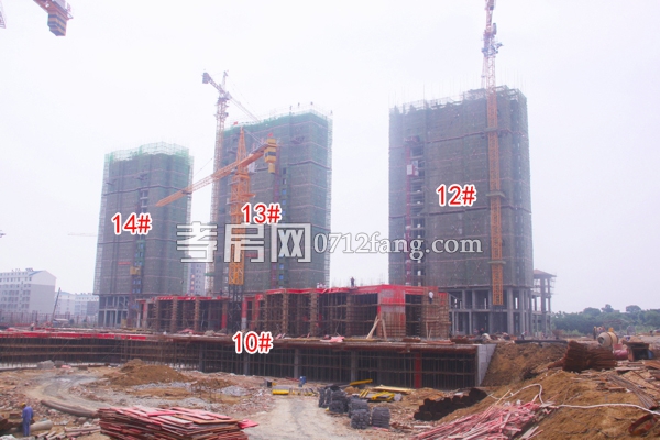 楚霖·鼎觀世界