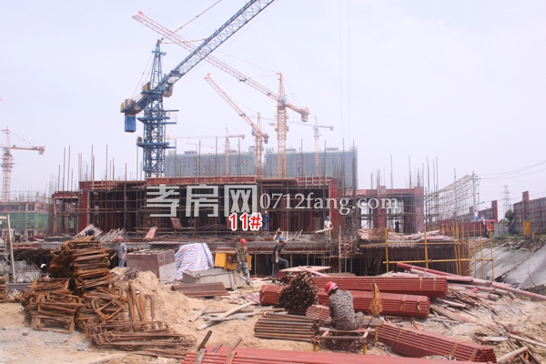 楚霖·鼎觀世界