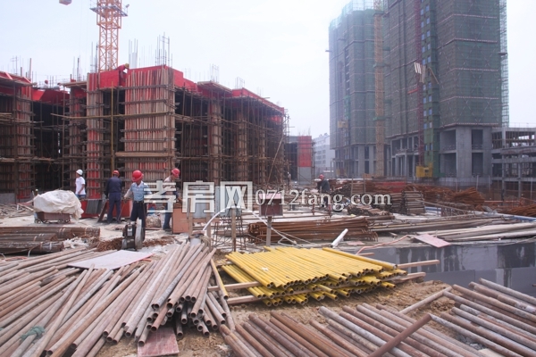 楚霖·鼎觀世界