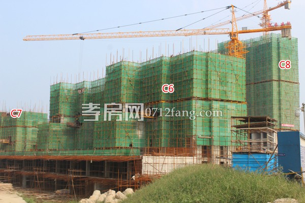 星河天街·帝景灣7月工程進度