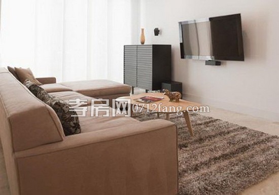 精致小客廳效果圖