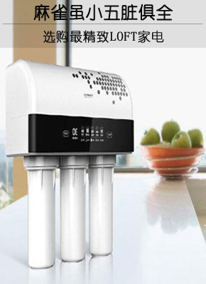 麻雀虽小五脏俱全 选购最精致LOFT家电