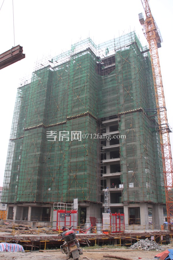 金都九龍城 孝房網(wǎng)