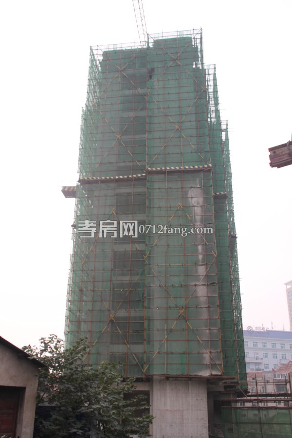 金都九龍城 孝房網(wǎng)