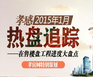 1月熱點(diǎn)追蹤 孝感在售樓盤工程進(jìn)度大盤點(diǎn)