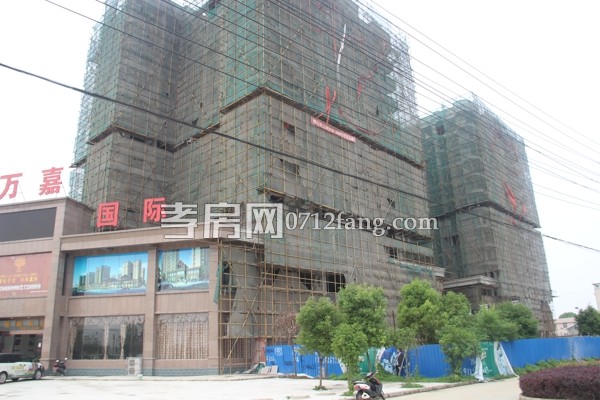 萬嘉·鳳凰國際