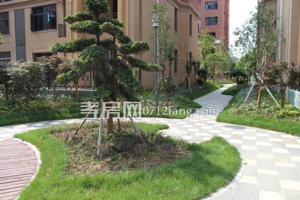 萬錦城 進(jìn)度 孝房網(wǎng)