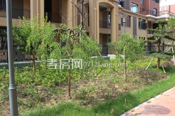 萬錦城 進(jìn)度 孝房網(wǎng)