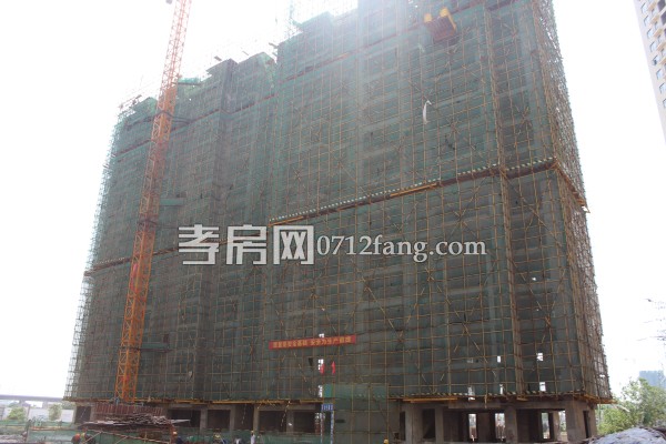 香港城二期 孝房網(wǎng) 進度