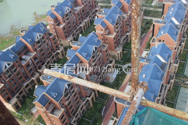 萬錦城 進(jìn)度 洋房