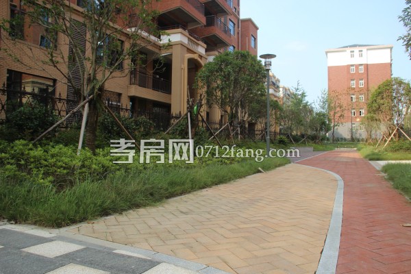 萬錦城 進(jìn)度 洋房