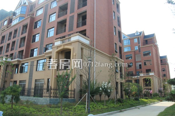 萬錦城 進(jìn)度 洋房