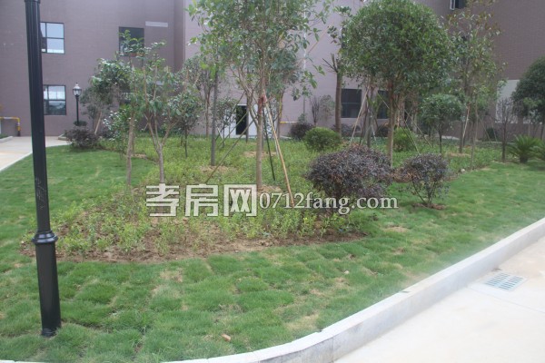 南大領寓 孝房網(wǎng) 進度