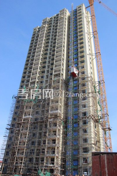 金都九龍城 孝房網(wǎng) 進度