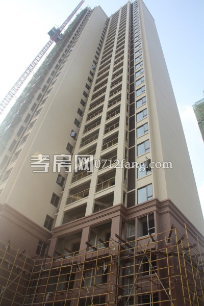 華耀天城 進(jìn)度