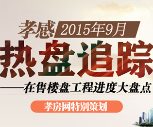 您最想看孝感哪个在售楼盘的最新工程进度？