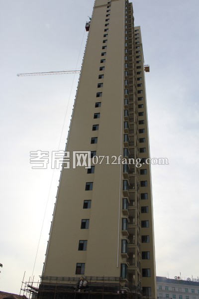 金都九龍城 進度 孝房網(wǎng)