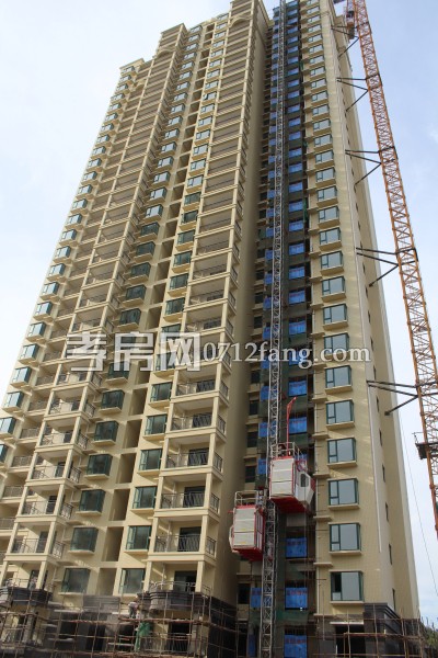 金都九龍城 進度 孝房網(wǎng)