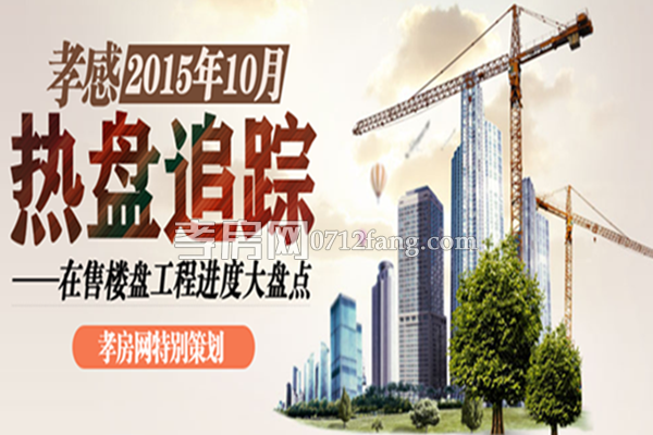 您最想看孝感哪个在售楼盘的最新工程进度？
