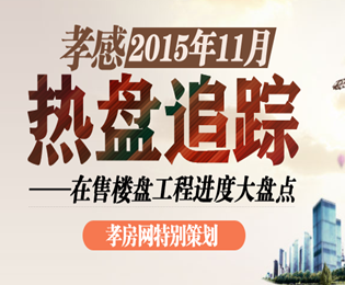 11月熱盤(pán)追蹤 孝感在售樓盤(pán)項(xiàng)目進(jìn)度大盤(pán)點(diǎn)
