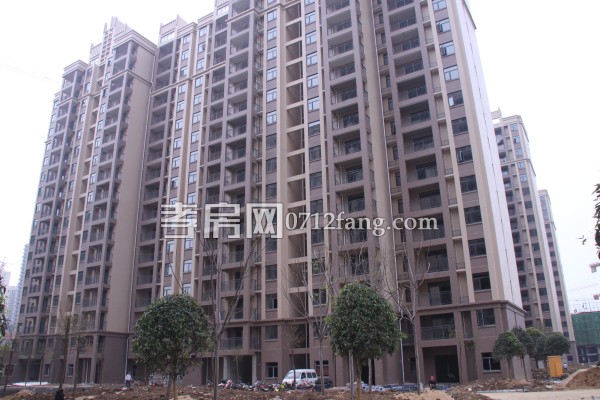 賽達康城 進度 綠化