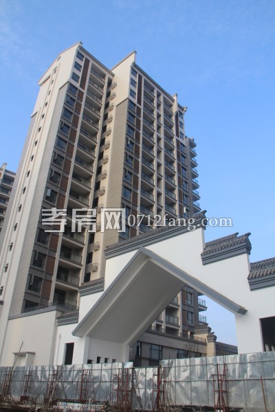 云湖尚景 進(jìn)度 綠化