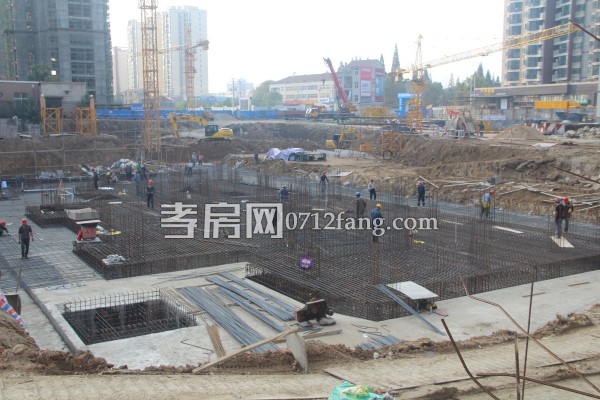 云湖尚景 進(jìn)度 綠化