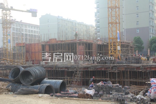 云湖尚景 進(jìn)度 綠化