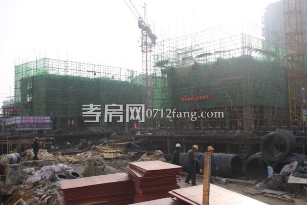 云湖尚景 綠化 進度