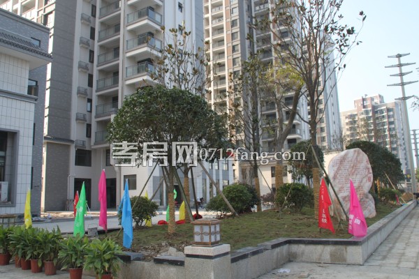 云湖尚景 綠化 進度