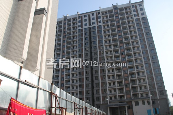 云湖尚景 綠化 進度