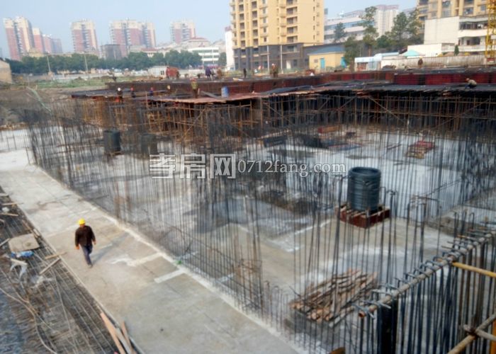 201702040902411004.jpg 19#.jpg