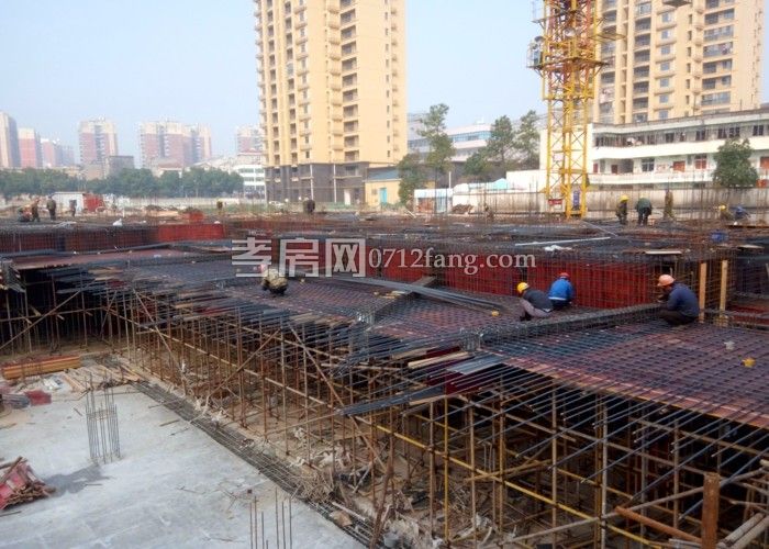 201702040903031004.jpg 20#.jpg