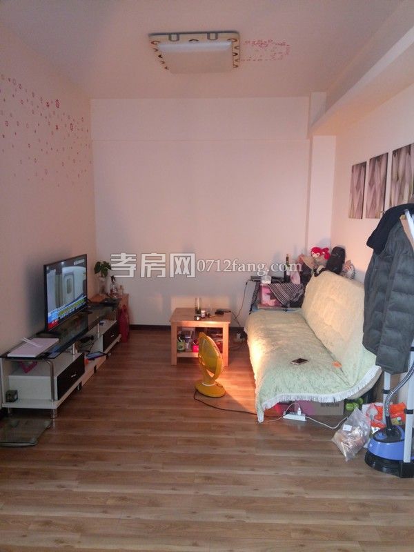 D267安國(guó)大廈一室一廳一衛(wèi)13/18精裝兩證滿二面積56平米售價(jià)33萬