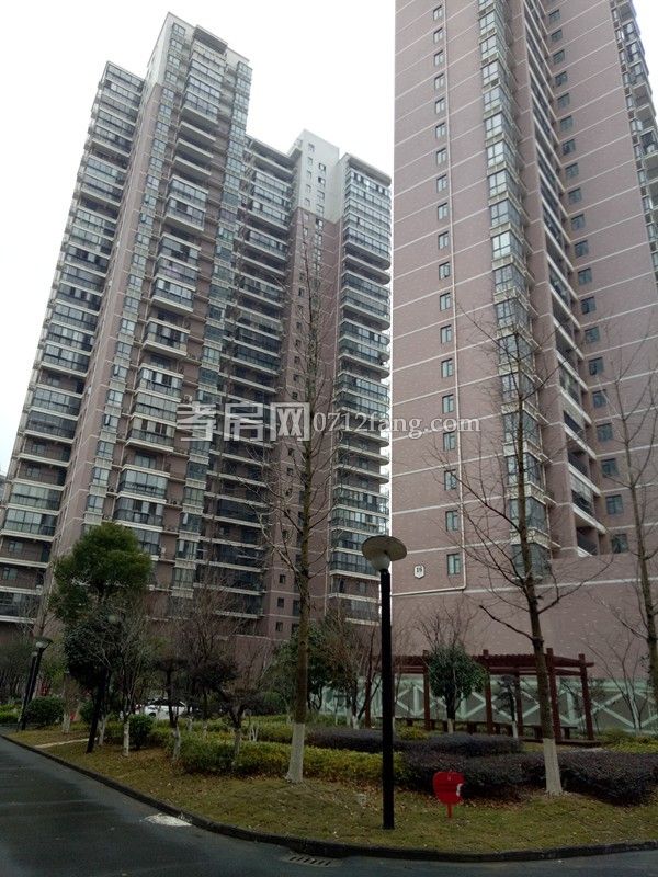    F27濱湖天地菊苑 四室二廳二衛(wèi)戶型通透  毛坯 139平米 