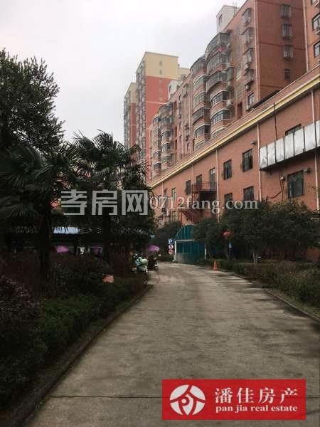 【潘佳房產(chǎn)推薦】【交通西路亞飛廣場滿兩年，11/19樓93㎡2室2廳毛坯房只要35.8萬，有圖】