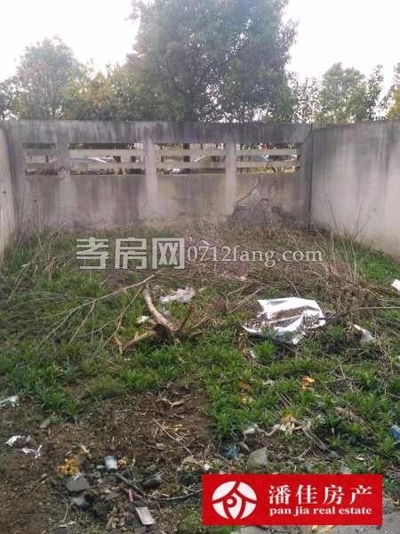 滿兩年濱湖天地蘭苑4室2廳2衛(wèi)2陽臺南北通透采光好