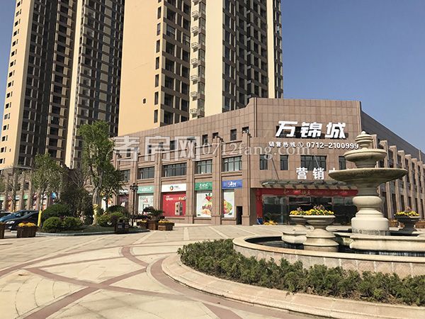 2017032911165435480k319dw.jpg 4.jpg