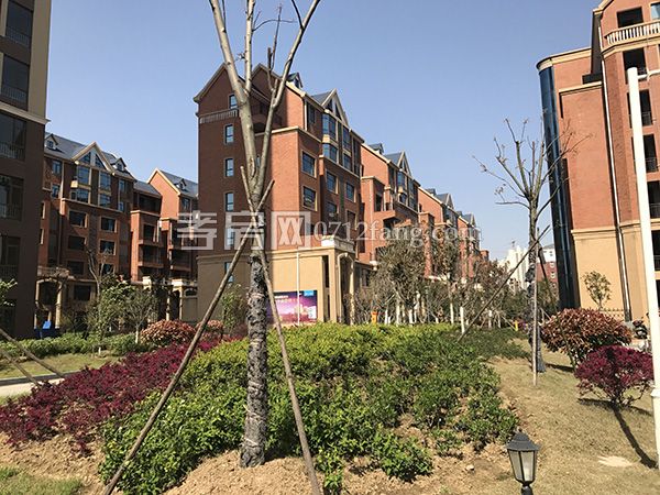 2017032911185359440yqku7y.jpg 6.jpg