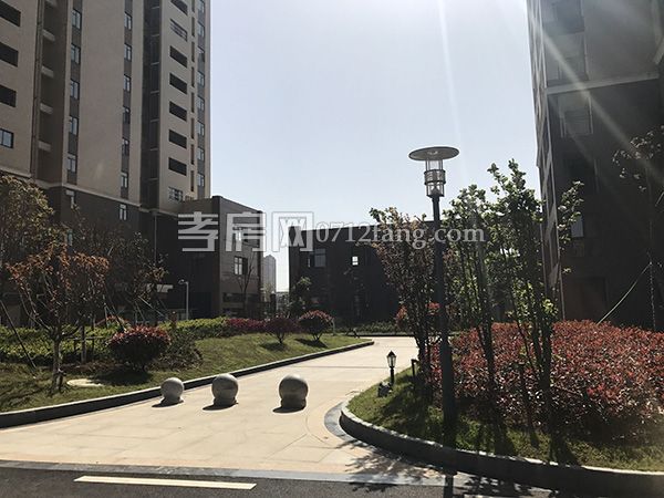 2017032911242788715krxbtz.jpg 5.jpg